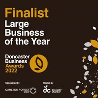 Large business of the year award finalist logo 2022